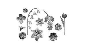 Flowers and Plants 3D model