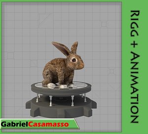 Rabbit