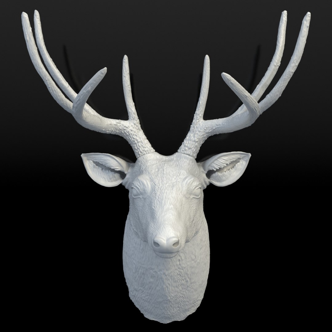 3d white faux taxidermy deer https://p.turbosquid.com/ts-thumb/wf/6LurMV/tt8oUqT3/wft03_whitewhite/jpg/1389634135/1920x1080/fit_q87/d9440077b63ded31e659018d632abec4e0664349/wft03_whitewhite.jpg