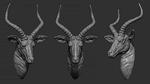 3D Impala Antelope head gloomy