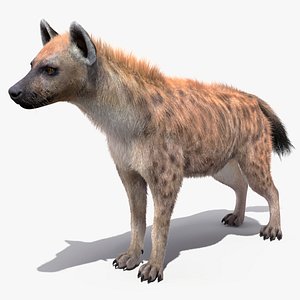 Hyena Neutral Pose Fur