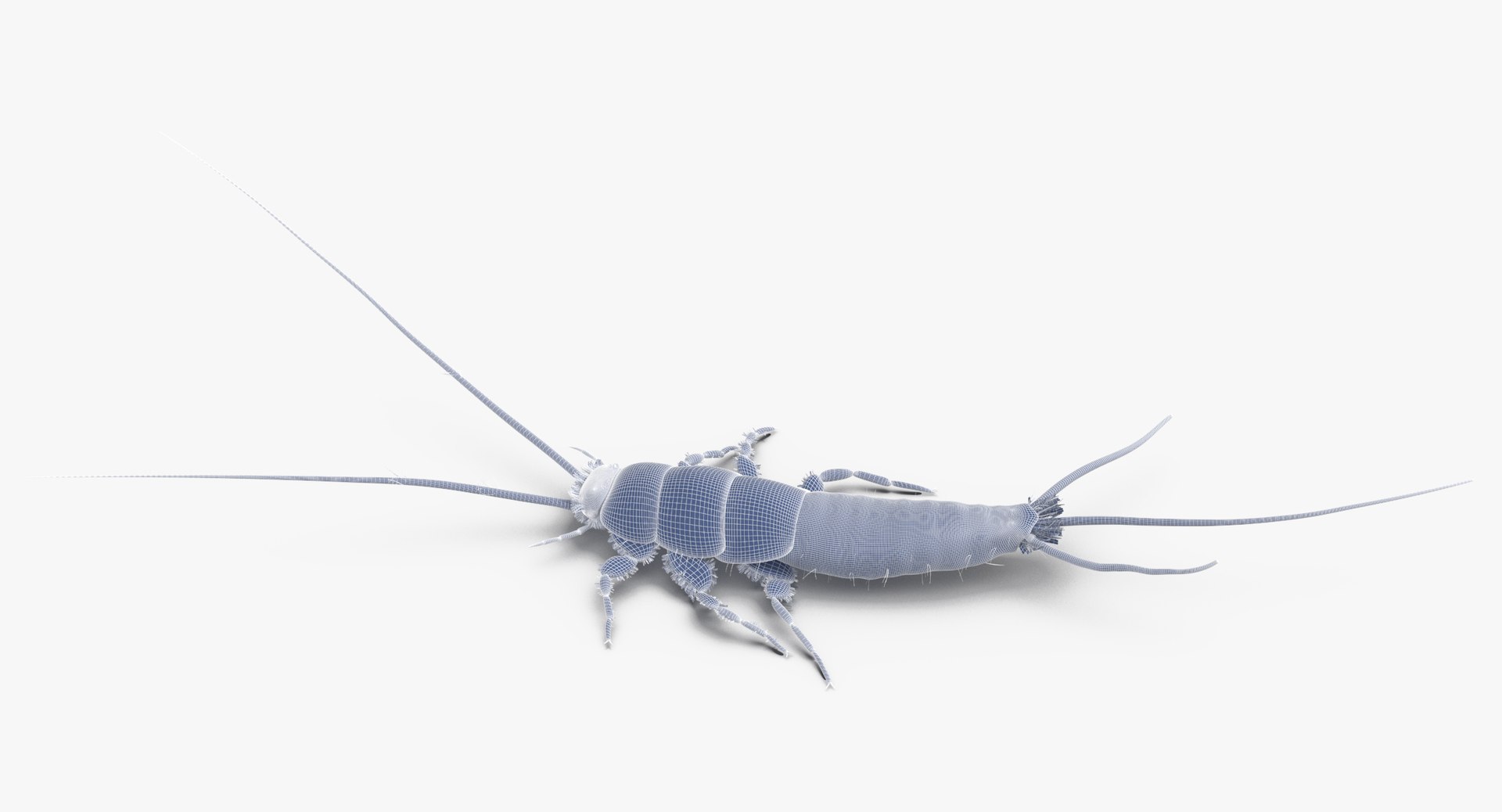 3D Model Silverfish Poses - TurboSquid 1399503