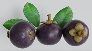 3D Realistic Mangosteen