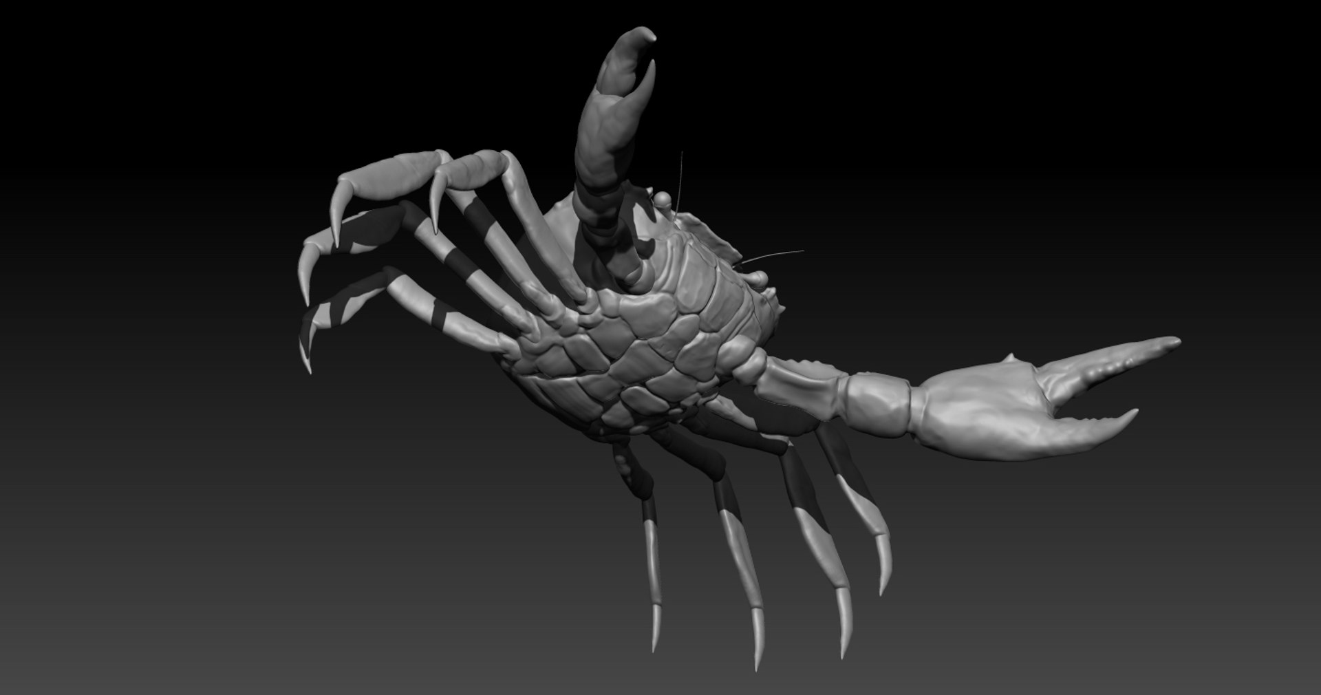 Crab Rig Studio License 3D Model - TurboSquid 1320294