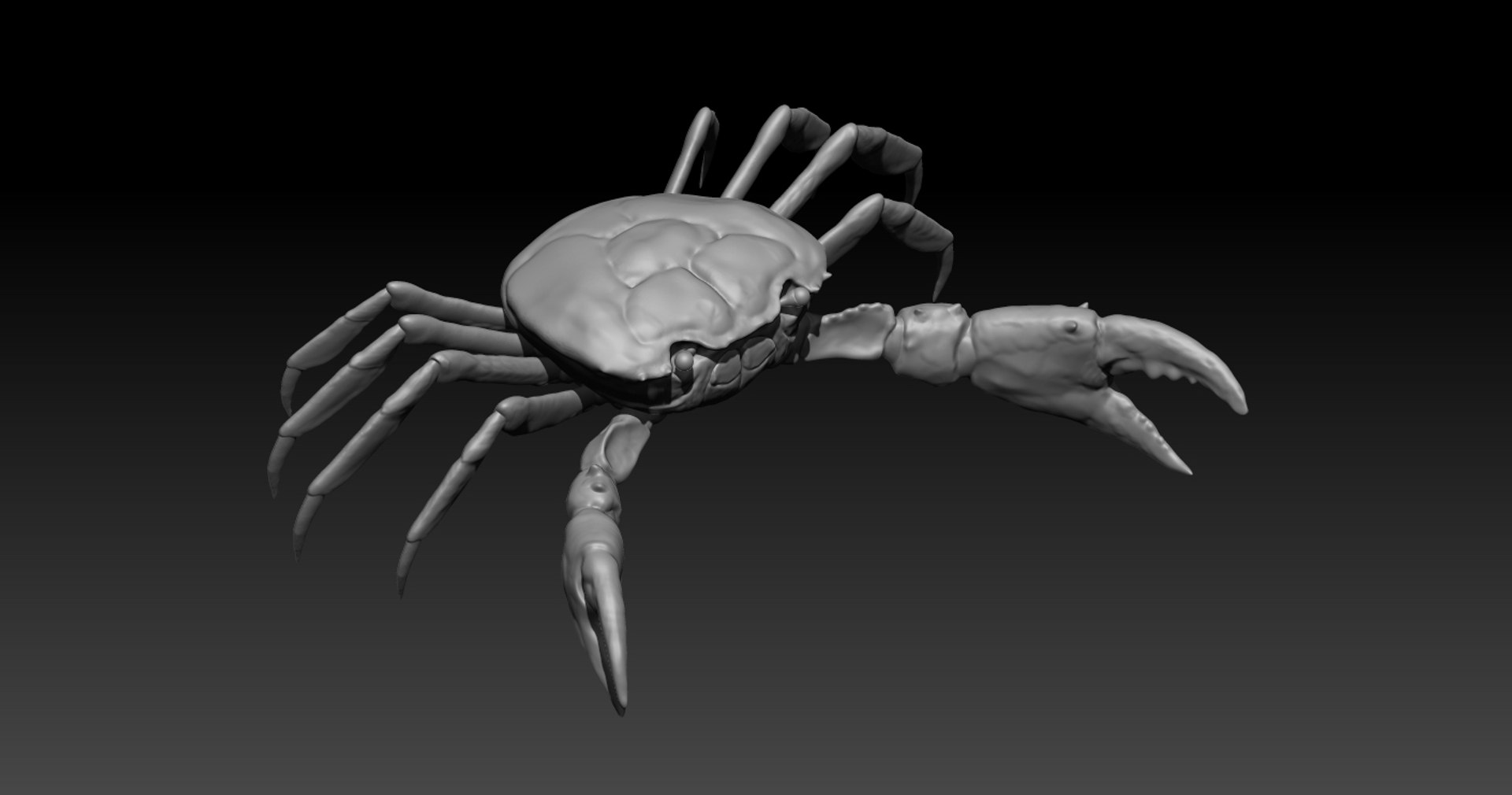 Crab Rig Studio License 3D Model - TurboSquid 1320294