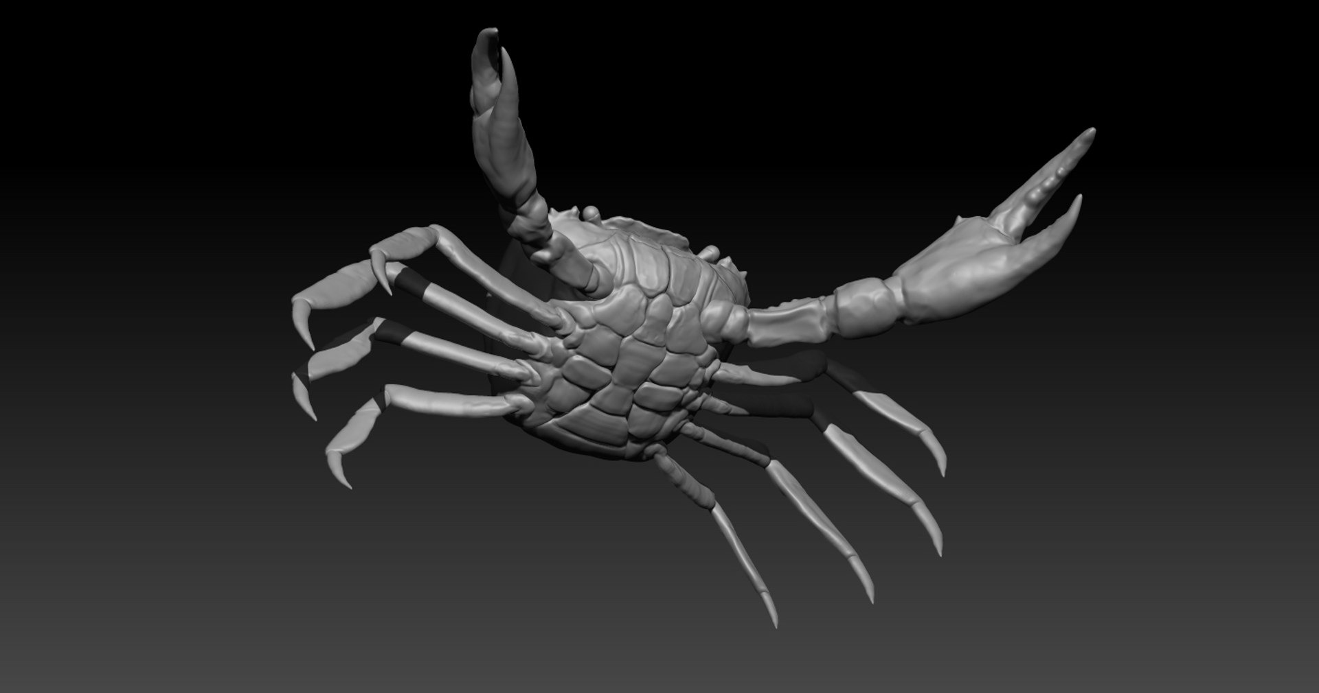 Crab Rig Studio License 3D Model - TurboSquid 1320294