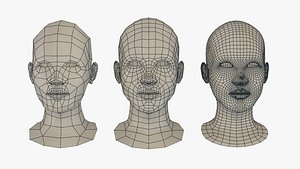 Female Bust PACK Low- Mid- High poly
