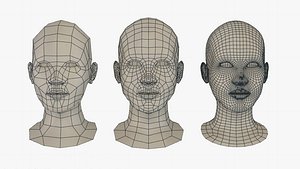 Female Bust PACK Low- Mid- High poly