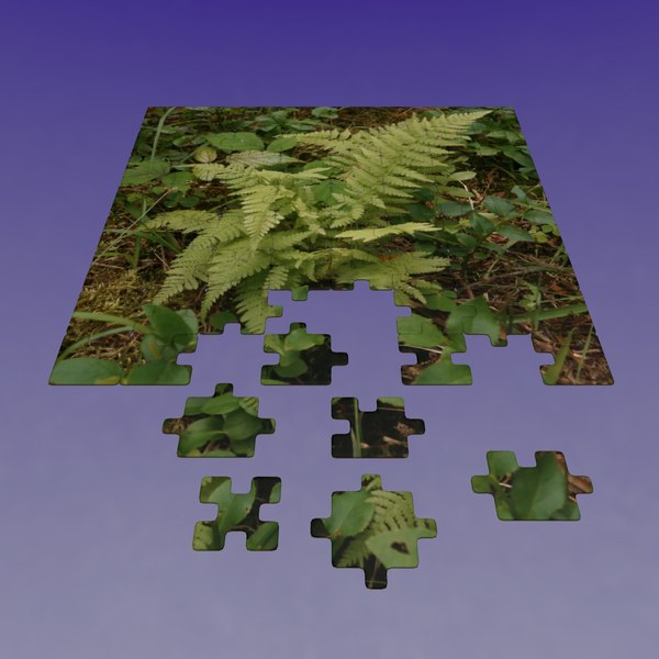 3d puzzle