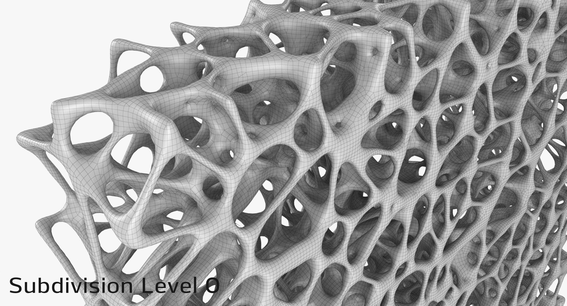 Bone Matrix Rectangle 3D Model - TurboSquid 1298759