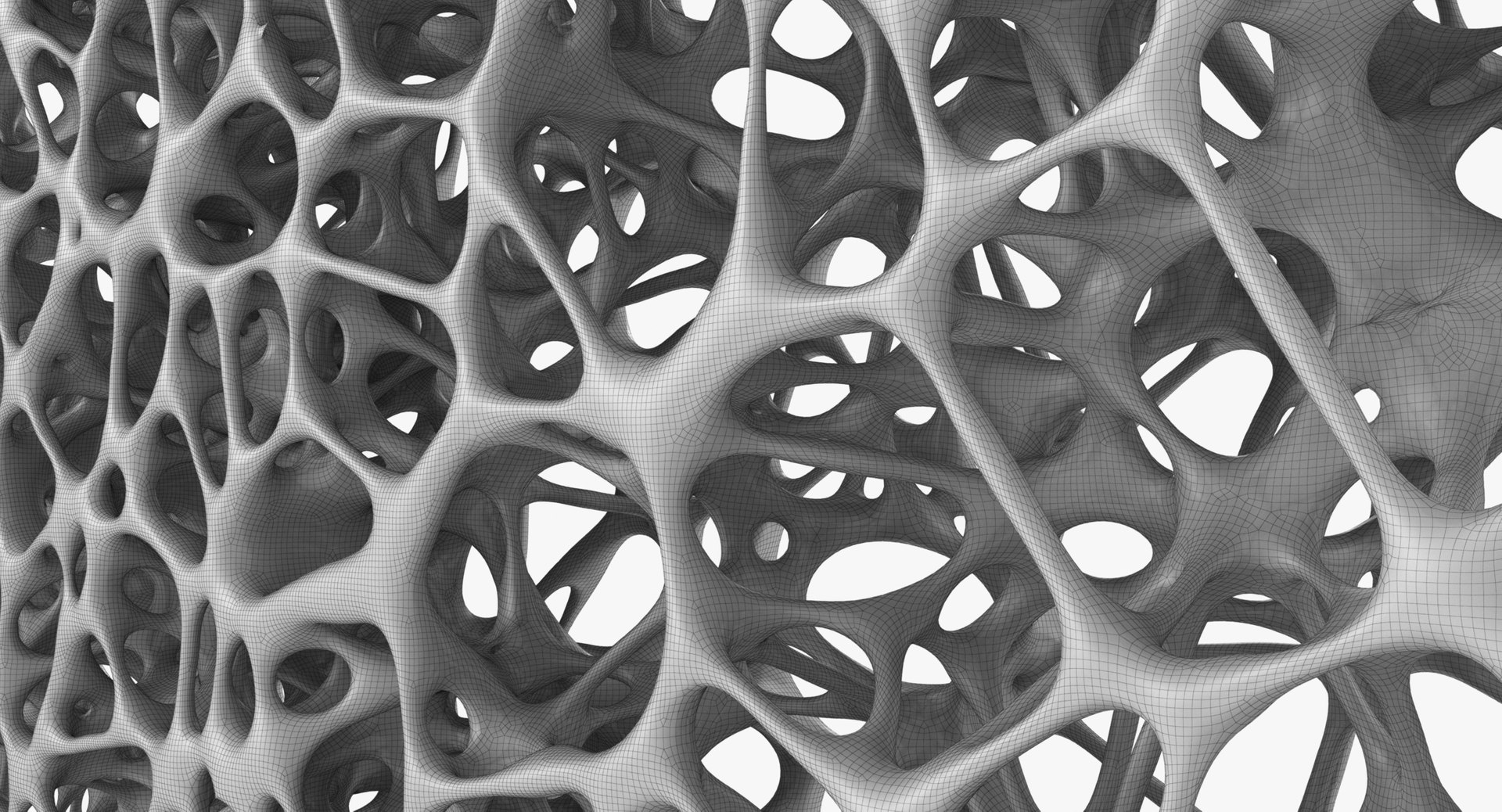 Bone Matrix Rectangle 3D Model - TurboSquid 1298759