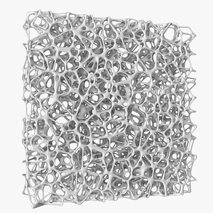 Bone Matrix Rectangle