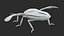 Stink Bug Static