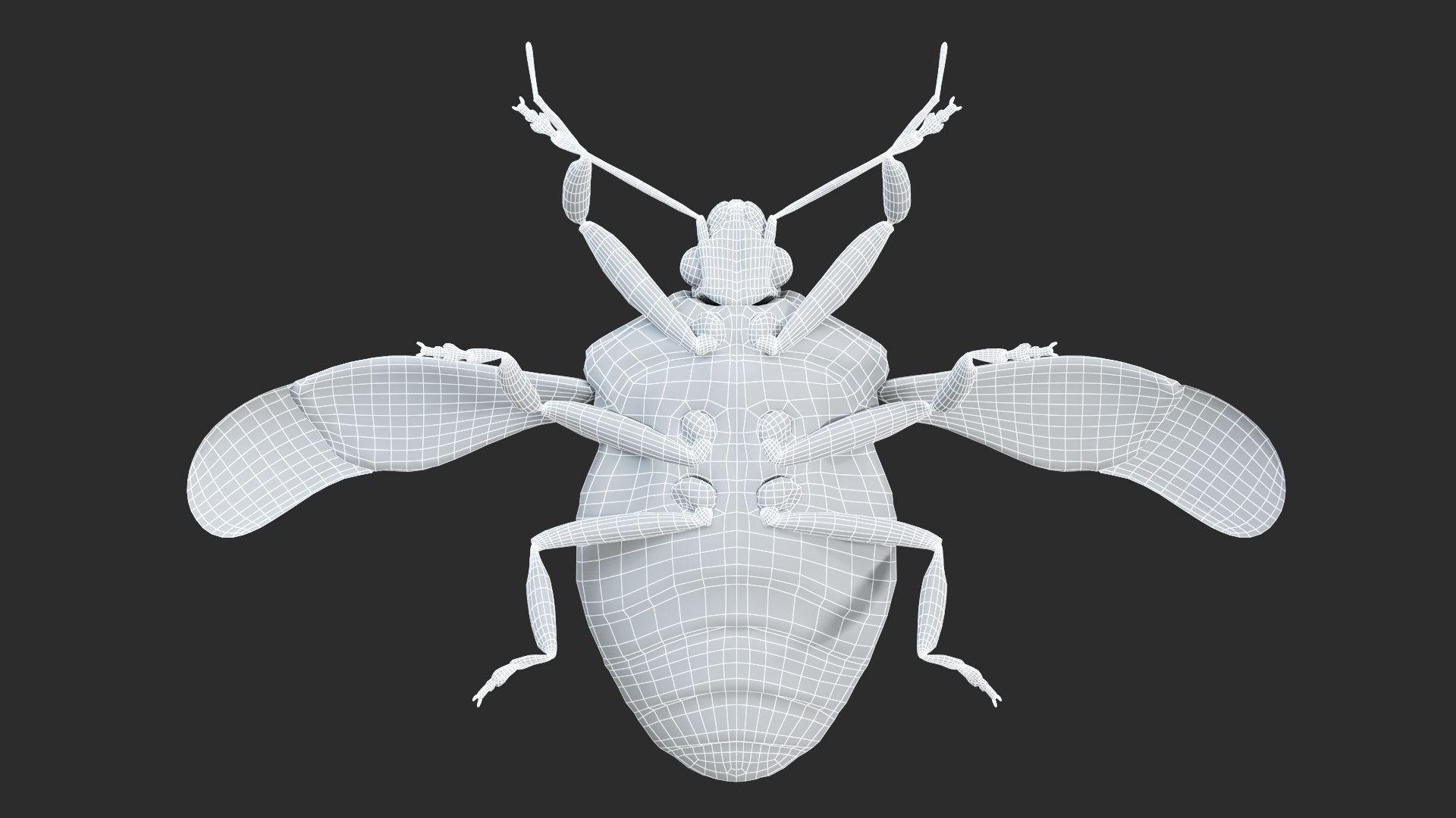 3D model Stink Bug Static https://p.turbosquid.com/ts-thumb/wg/IUTYca/WH/stingbug_wireframe4/jpg/1672674774/1920x1080/fit_q87/fbaed605d52075bd098f2c111185f9138f6a39b6/stingbug_wireframe4.jpg
