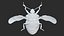 Stink Bug Static