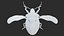 Stink Bug Static