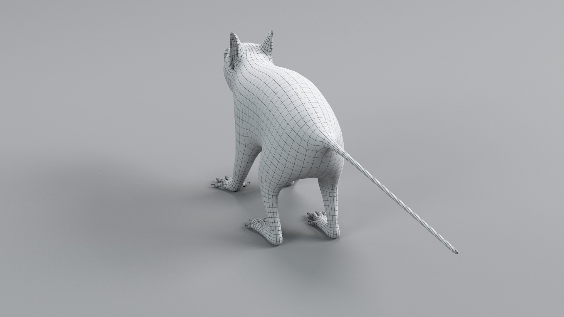 3D Squirrel Static Xgen https://p.turbosquid.com/ts-thumb/wg/JVYTRS/02/squirrel_static_26/jpg/1741616594/1920x1080/fit_q87/496a4df8674fdf6bac9a7ee7eaeafbbeb83e7426/squirrel_static_26.jpg