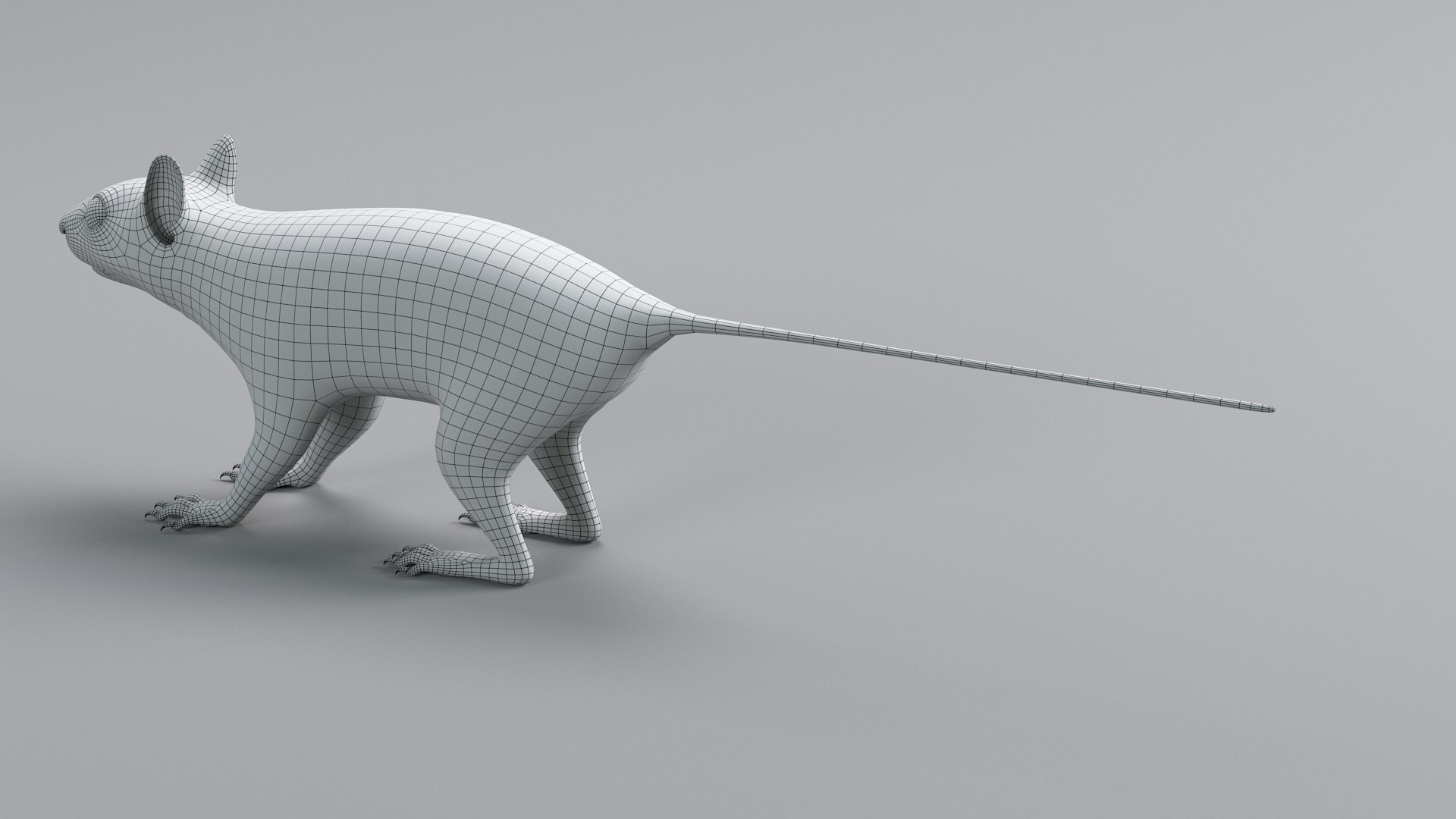 3D Squirrel Static Xgen https://p.turbosquid.com/ts-thumb/wg/JVYTRS/V3/squirrel_static_27/jpg/1741616596/1920x1080/fit_q87/5710178236a251d43ee9ec21de6287ccf3072e9f/squirrel_static_27.jpg
