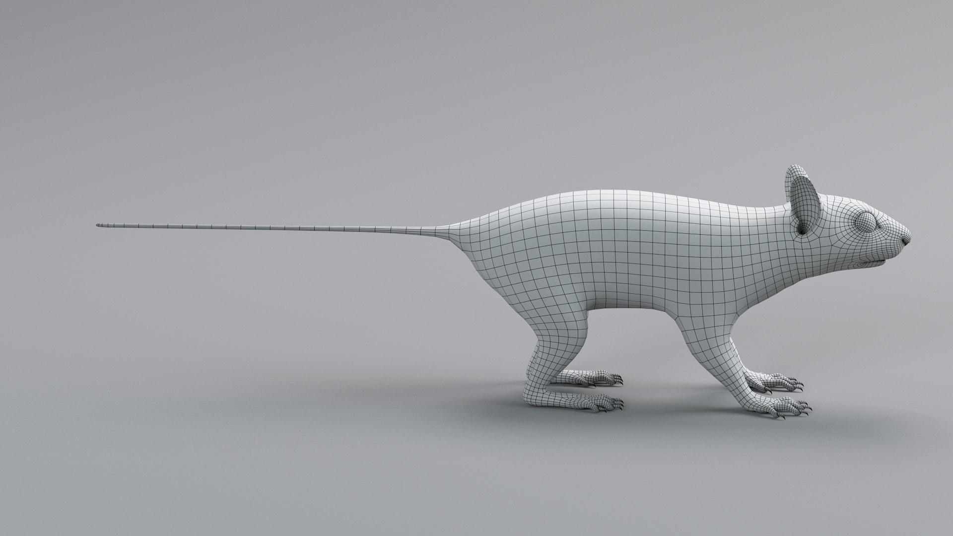 3D Squirrel Static Xgen https://p.turbosquid.com/ts-thumb/wg/JVYTRS/Y9/squirrel_static_23/jpg/1741616591/1920x1080/fit_q87/dd08077077b2012cd0e5110bd253ce3979df6a3b/squirrel_static_23.jpg