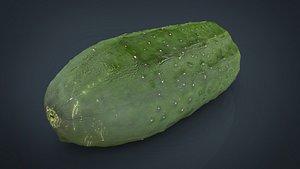 cucumber 3d model