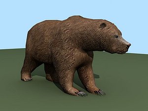 3d grizzly bear