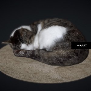 Sleeping Cat