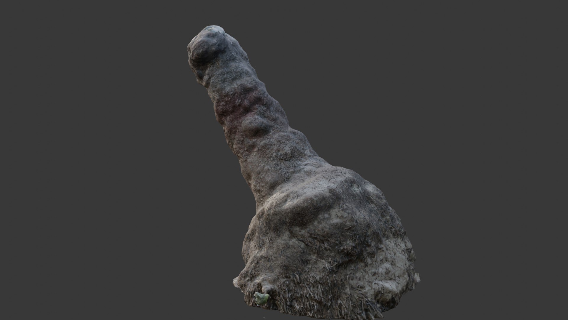 3D Termite Mound 3D Scan model https://p.turbosquid.com/ts-thumb/wg/sGLbad/AM/6/jpg/1745112559/1920x1080/fit_q87/73e579385547b2d7ea31f6cbe30ae66c6ae047f1/6.jpg