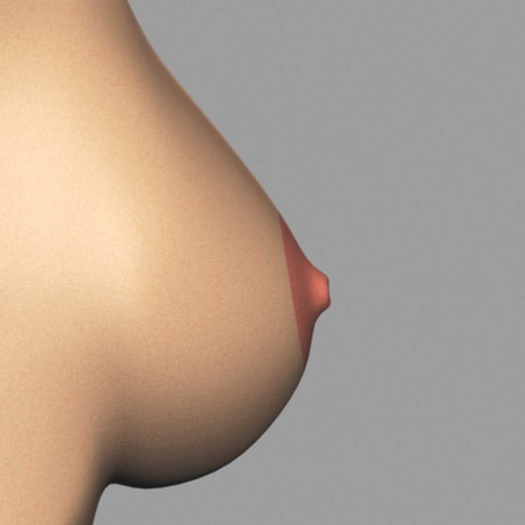 3dsmax breast anatomy https://p.turbosquid.com/ts-thumb/wg/w2V5Cj/0iJr0kyD/breast_05/jpg/1215014519/1920x1080/fit_q87/18189ea9ebdb1203ac86462a871a55ae865d090e/breast_05.jpg