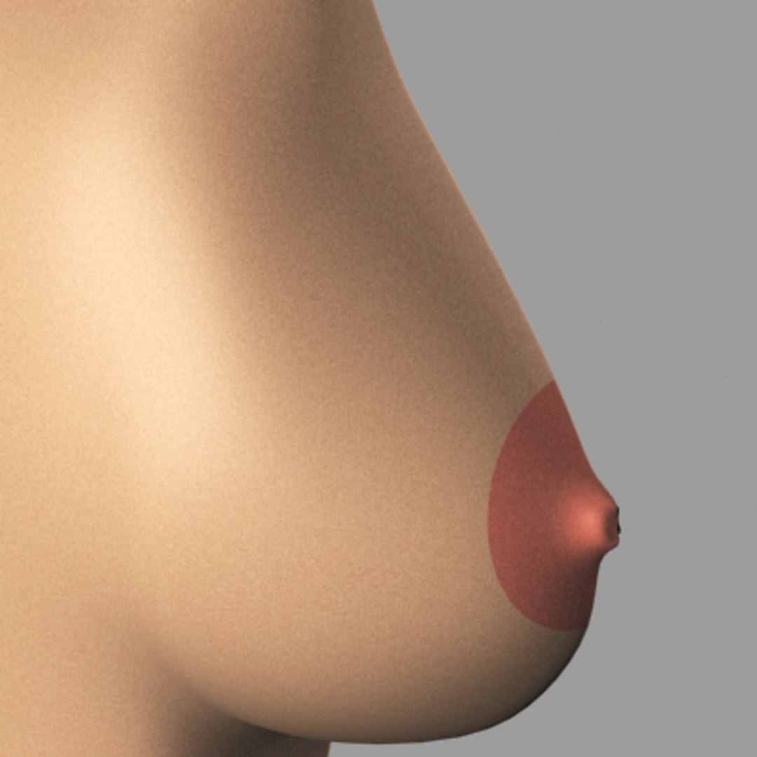 3dsmax breast anatomy https://p.turbosquid.com/ts-thumb/wg/w2V5Cj/w3IGu284/breast_06/jpg/1215014521/1920x1080/fit_q87/0374301d73757abb979c7926606ea4bdf5b24ebf/breast_06.jpg