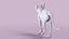 Sphynx 고양이 걷는 포즈 3