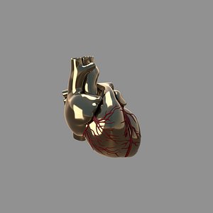 3D Bronze Heart red veins model