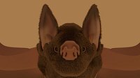 Bat Vampire