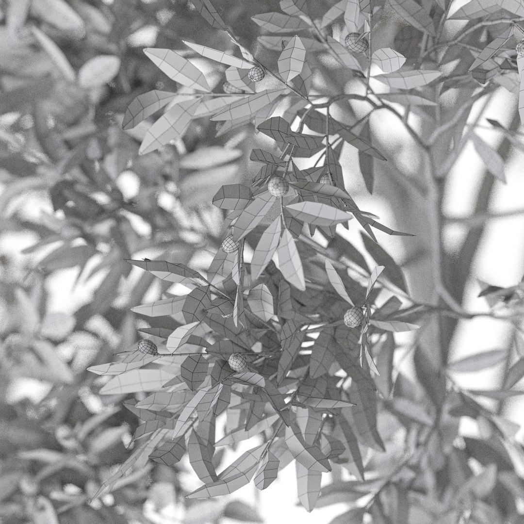 Plant 1221 3D https://p.turbosquid.com/ts-thumb/wh/IWM2Hi/TQ/plant_1221_05/jpg/1745318988/1920x1080/fit_q87/b71142bef3dc401c15265c743ebfff9936e5303c/plant_1221_05.jpg