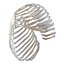 Female Ribcage Skeleton