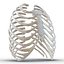 Female Ribcage Skeleton