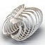 Female Ribcage Skeleton