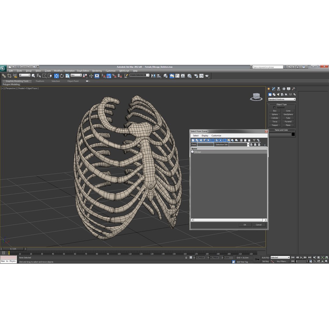 3d female ribcage skeleton https://p.turbosquid.com/ts-thumb/wh/IomWkQ/s1ERgDZ6/femaleribcageskeleton3dmodel22/jpg/1459957874/1920x1080/fit_q87/0842627e381f2732e4810c3fec31dc3d307d57e3/femaleribcageskeleton3dmodel22.jpg