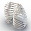 Female Ribcage Skeleton