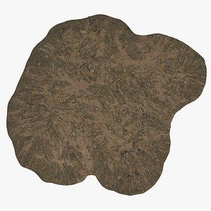 Branch and Rock Landslide model