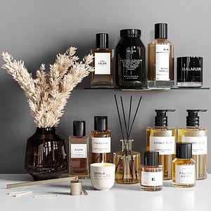 Bathroom accessories 03 model