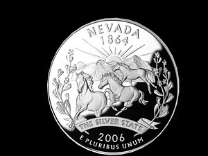 3d model nevada