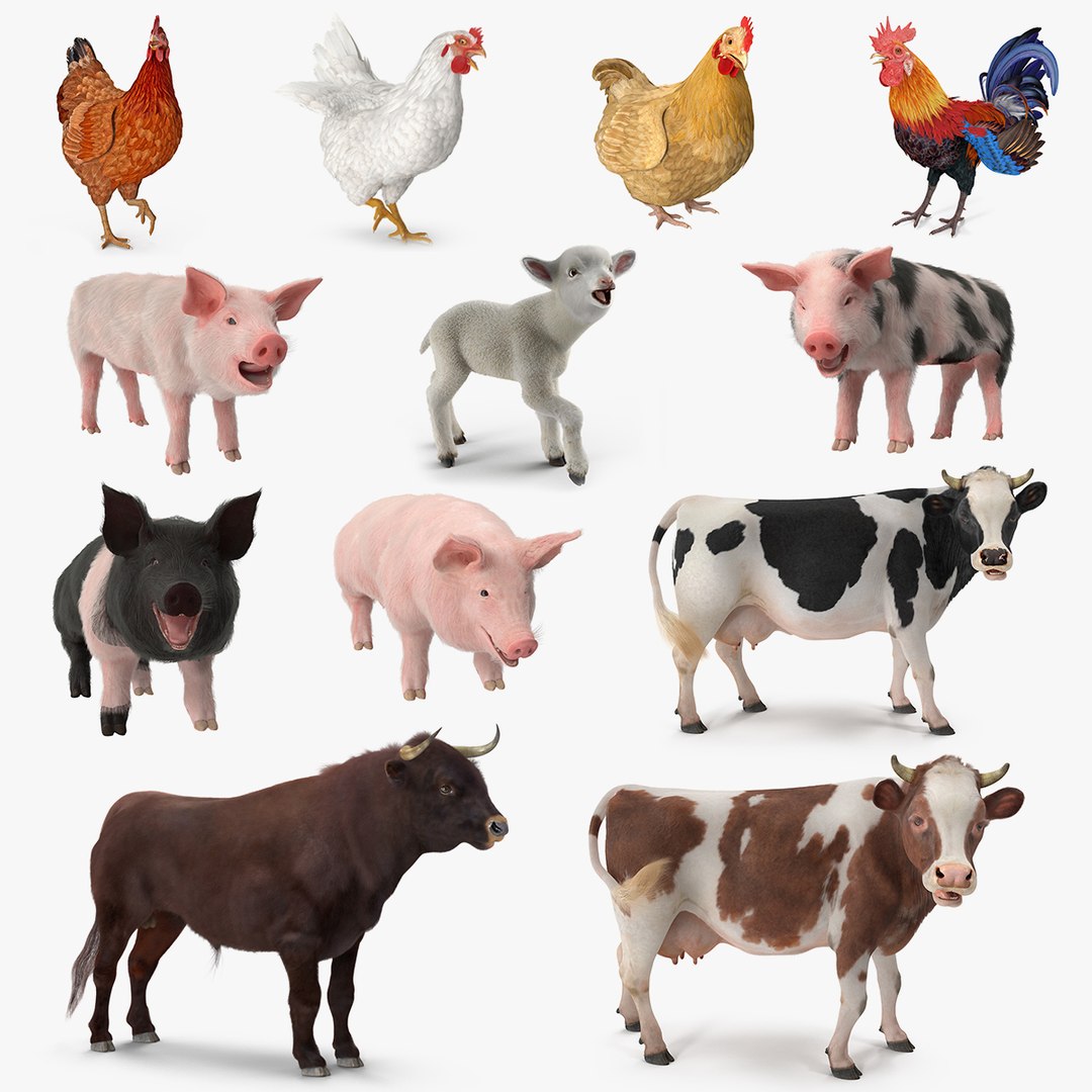 Rigged Farm Animals Big 3D Models Collection 3D model preview