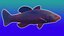 Animierter LowPoly-Fisch