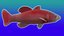Animierter LowPoly-Fisch