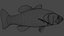 Animierter LowPoly-Fisch