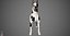Great Dane Real-Time