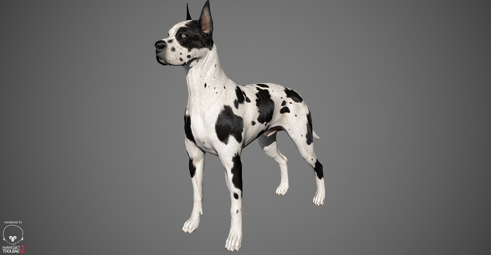 great dane real-time dog 3d ma https://p.turbosquid.com/ts-thumb/wi/GecaME/BFrPCXPW/greatdane_marmoset_harl_06/jpg/1469409699/1920x1080/fit_q87/7eb404c4b4e8f0ceeffe58a77118b9c84245c3dd/greatdane_marmoset_harl_06.jpg