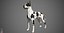 Great Dane Real-Time