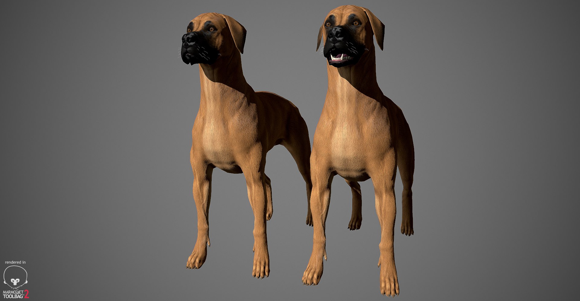 great dane real-time dog 3d ma https://p.turbosquid.com/ts-thumb/wi/GecaME/F9v0zmcq/greatdane_marmoset_misc_01/jpg/1469409699/1920x1080/fit_q87/e8b4a4201bf751a7369b4621e6fa6c12e01bcba1/greatdane_marmoset_misc_01.jpg