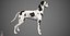Great Dane Real-Time